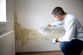 Best Biohazard Mold Removal in USA